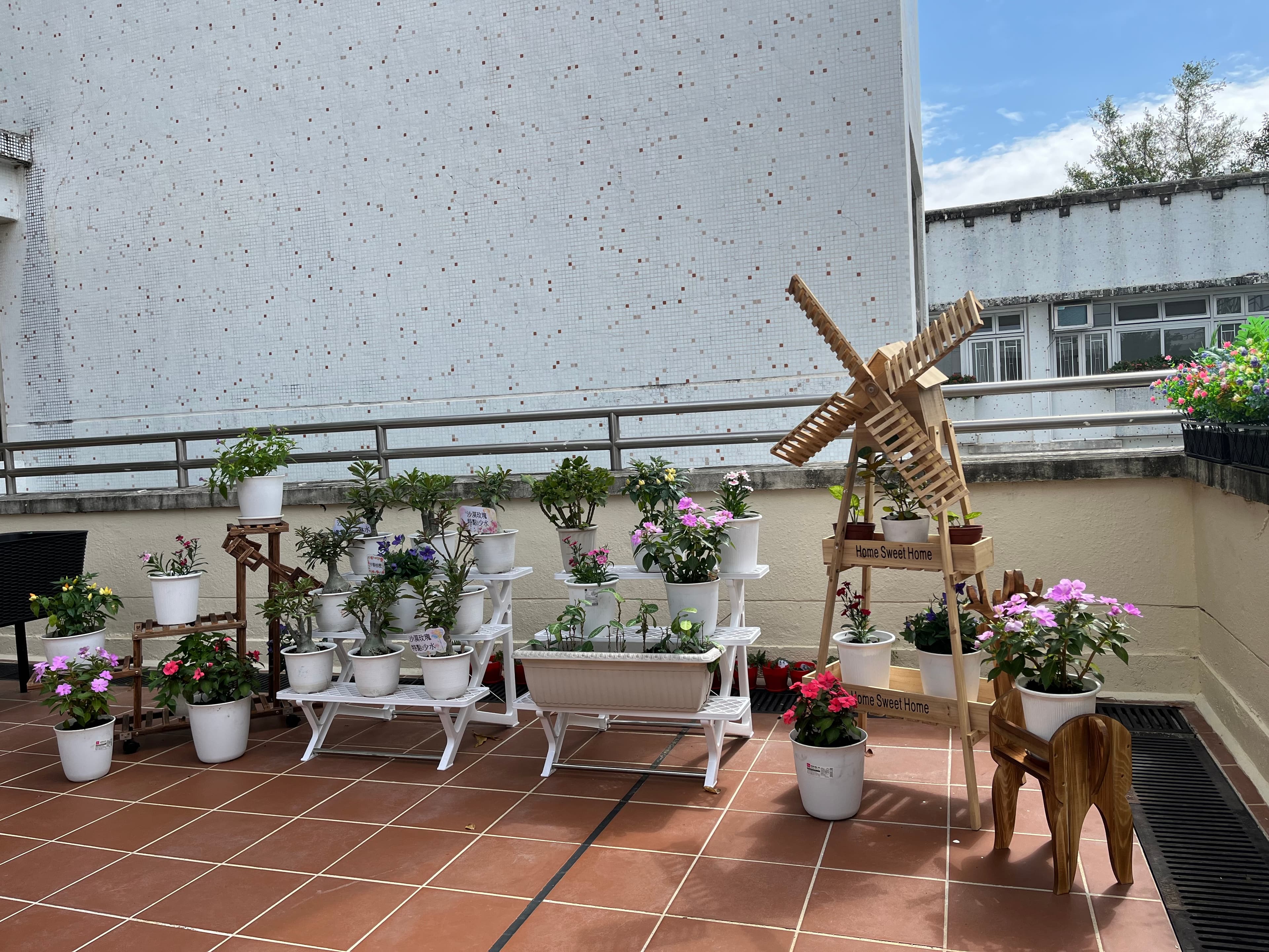 Caritas Services for the Elderly official home page gallery; source page: https://www.caritasse.org.hk/zh/?page_id=16439; caption inferred from filename: 平台花園