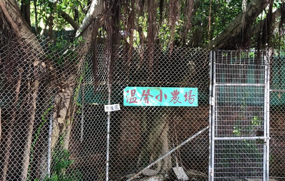 SWD Elderly Information page L1088, alt=院舍外觀