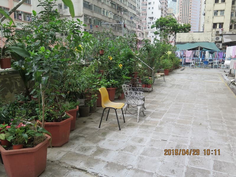 社署長者資訊網:花園