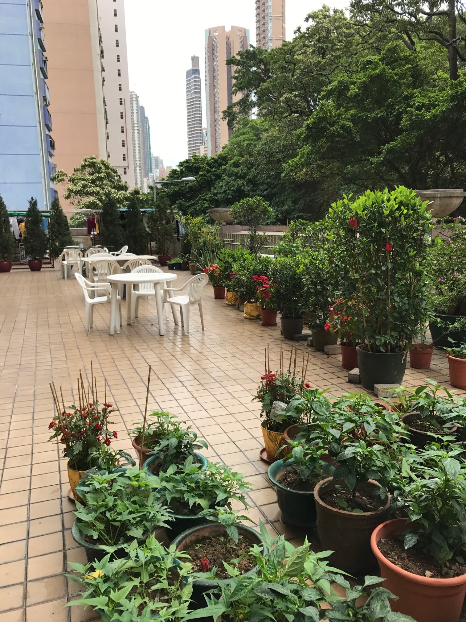 社署長者資訊網,L1159 康盛護老中心有限公司:花園