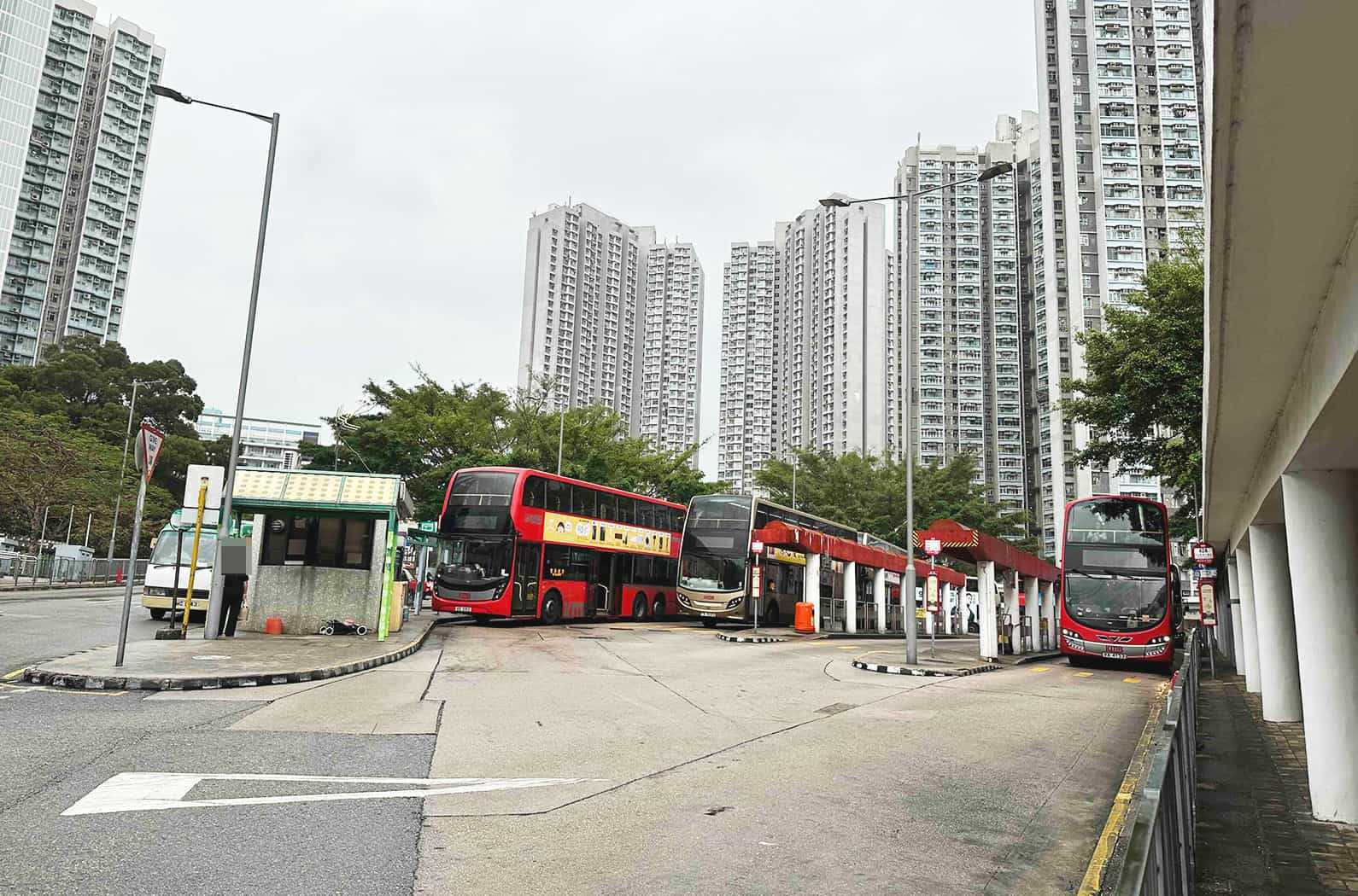 樂活易 / ElderlyDB matching page for 青衣栢景護理中心, licence 1456, address 新界青衣寮肚路6號長亨邨長亨商場5樓7-8號舖.